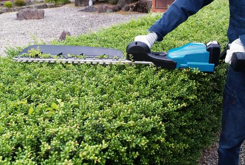 生垣・植込み刈込